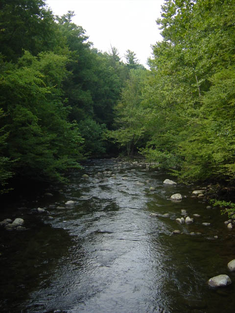DSC01793